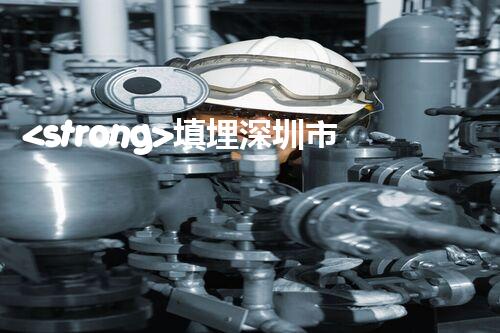 <strong>填埋深圳市危險(xiǎn)廢物處理站有限公司化工設(shè)施安全解體：如何高效處理復(fù)雜工業(yè)遺留問(wèn)題？</strong>